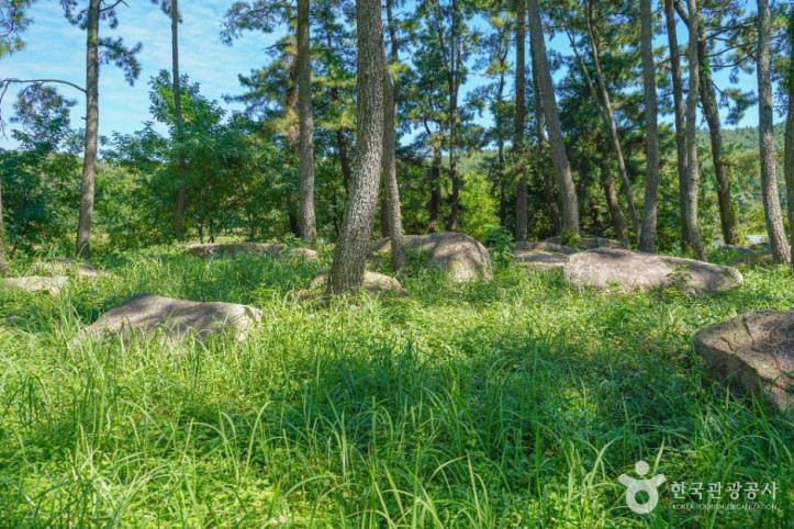 장흥_방촌리_지석묘군_1_공공1유형.jpg