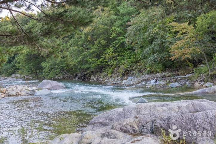 도원리계곡_1_공공1유형.jpg