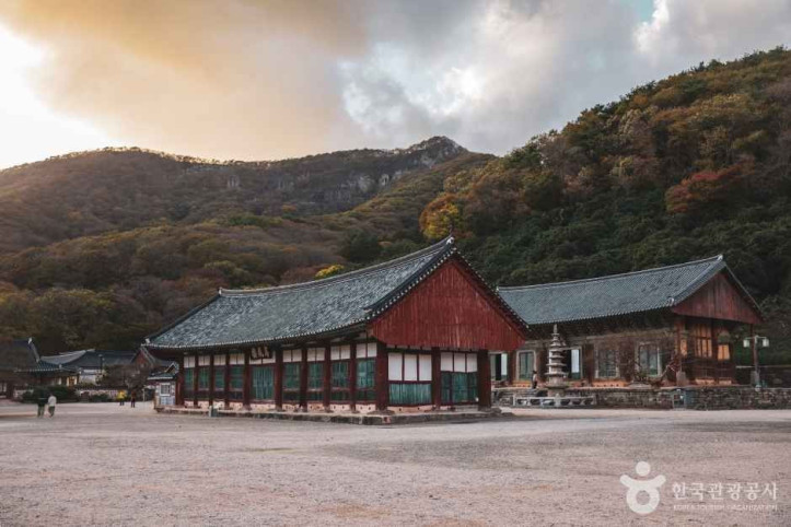 선운사(고창) 여행 추천 - 메고지고