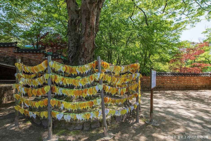 가야산국립공원(합천) 여행 추천 - 메고지고