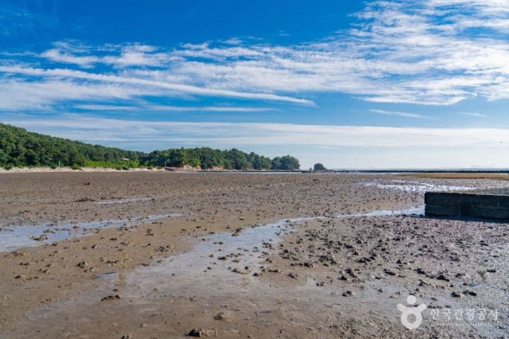 백미리갯벌체험장_4_공공1유형.jpg
