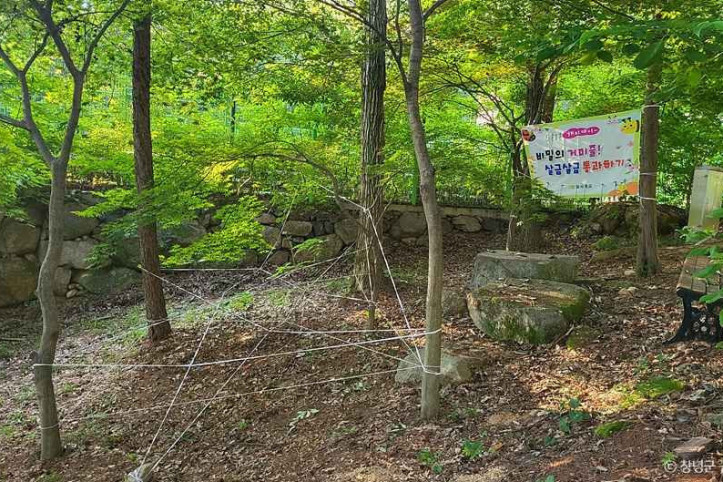화왕산자연휴양림 여행 추천 - 메고지고