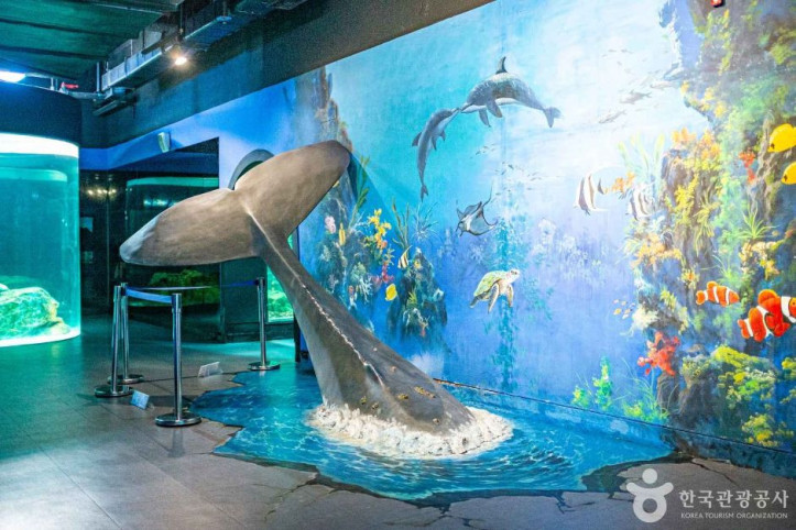 울진아쿠아리움_7_공공3유형.jpg