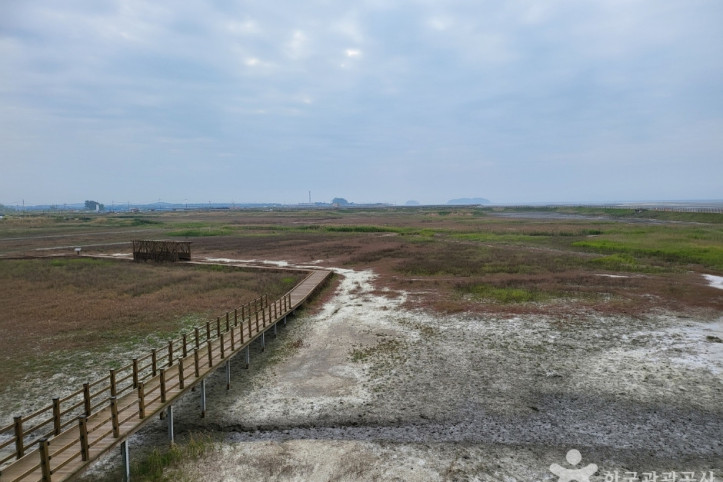 고창갯벌_9_공공3유형.jpg