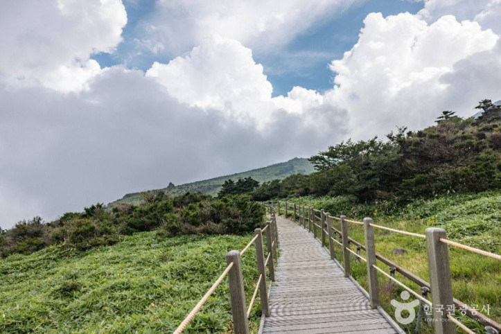한라산_영실_4_공공1유형.jpg