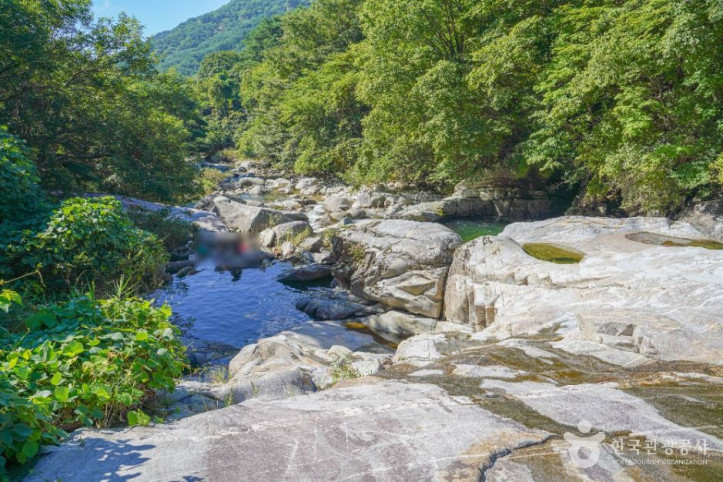 기백산_용추계곡과_용추폭포_4_공공1유형.jpg