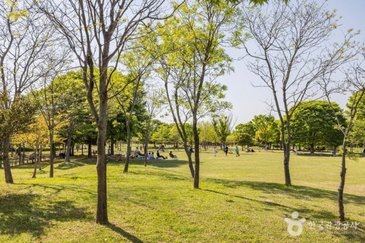 을숙도_공원_7_공공1유형.jpg