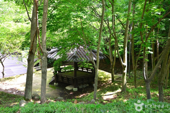 백아산자연휴양림_8_공공3유형.jpg
