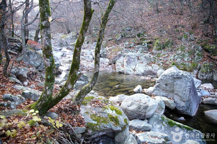 미시령계곡_3_공공3유형.jpg