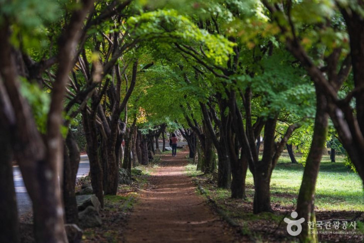 내장산국립공원_2_공공1유형.jpg