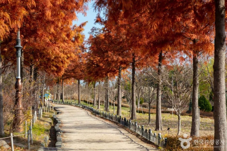 한밭수목원_3_공공3유형.jpg