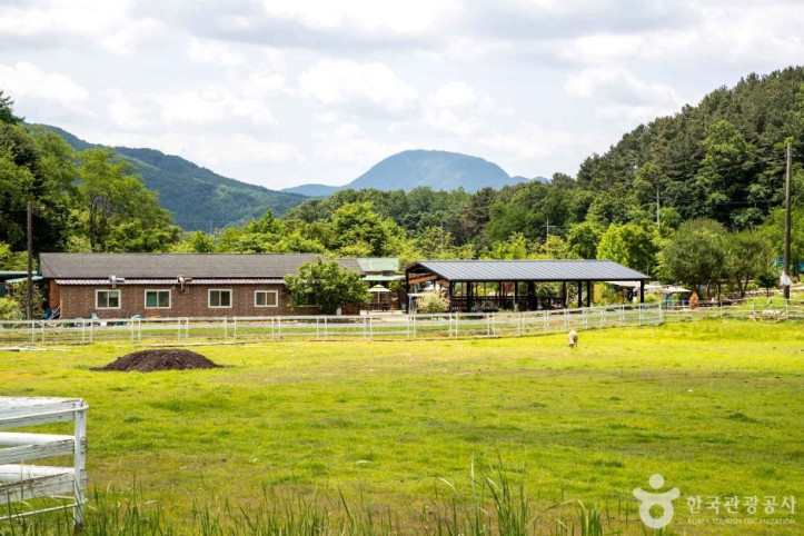 양평양떼목장_6_공공1유형.jpg