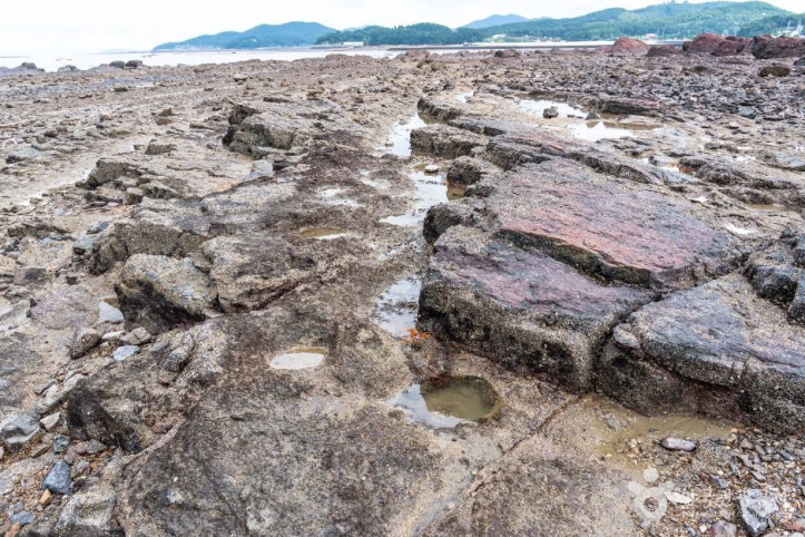 맨삽지(학성리 공룡발자국화석) 여행 추천 - 메고지고