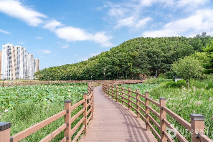 들성생태공원_1_공공1유형.jpg