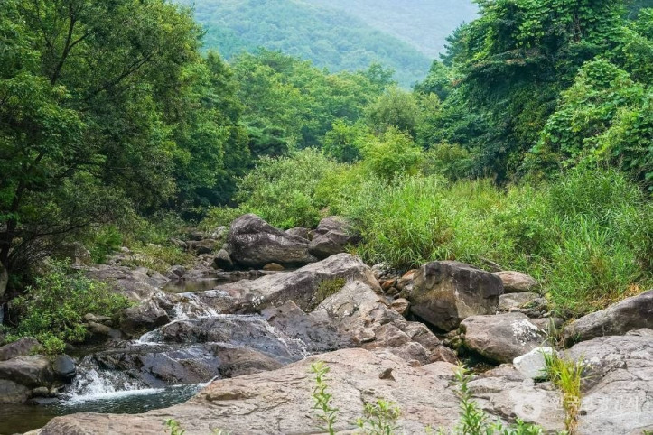 토옥동계곡_6_공공1유형.jpg