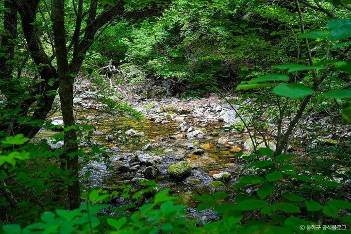 백천계곡_5_공공3유형.jpg