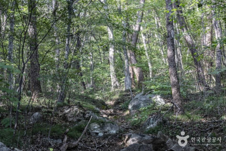 호구산군립공원_6_공공1유형.jpg