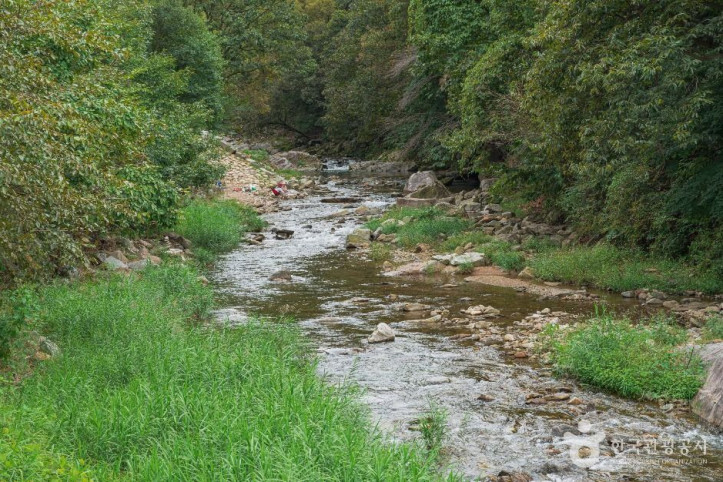왕방계곡_5_공공1유형.jpg