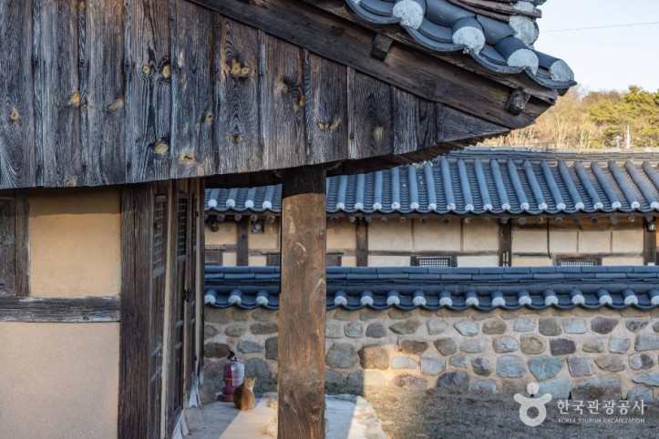 안동 유일재 종택 여행 추천 - 메고지고