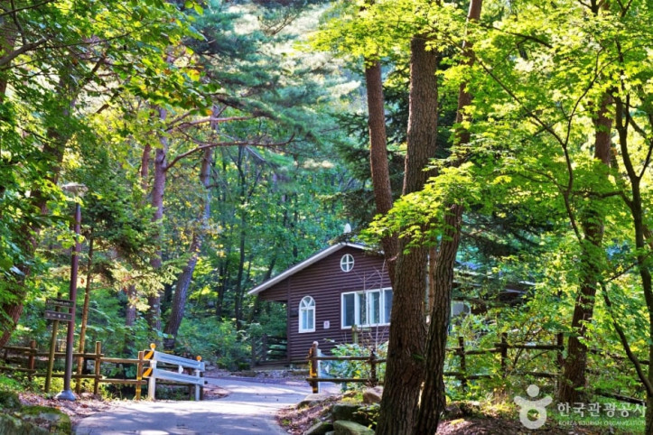 조령산자연휴양림_6_공공3유형.JPG