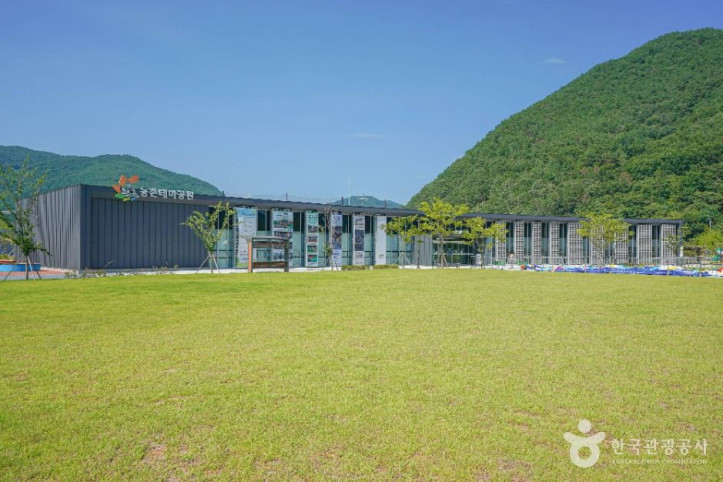 선샤인밀양테마파크 여행 추천 - 메고지고