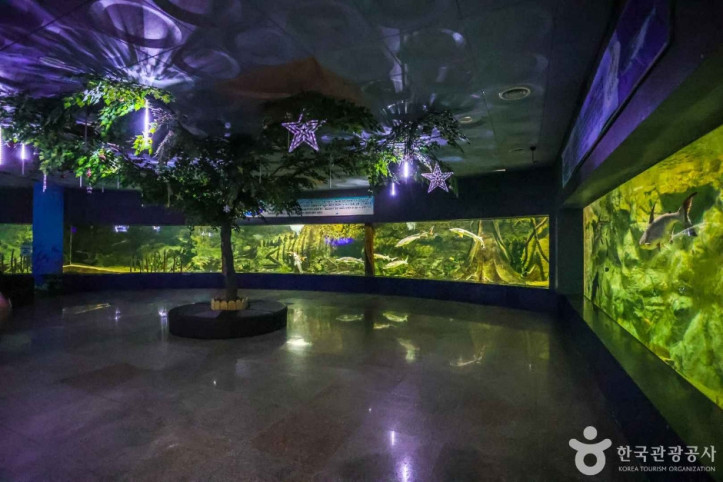 대전아쿠아리움_4_공공3유형.jpg