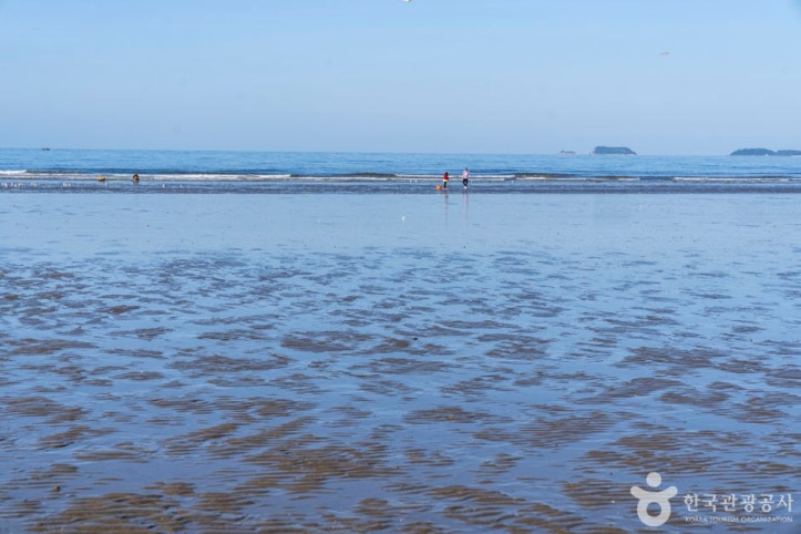 밧개해수욕장_2_공공3유형.jpg