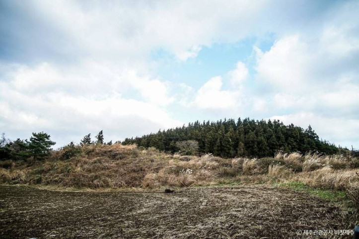 뒤굽은이오름_2_공공3유형.jpg