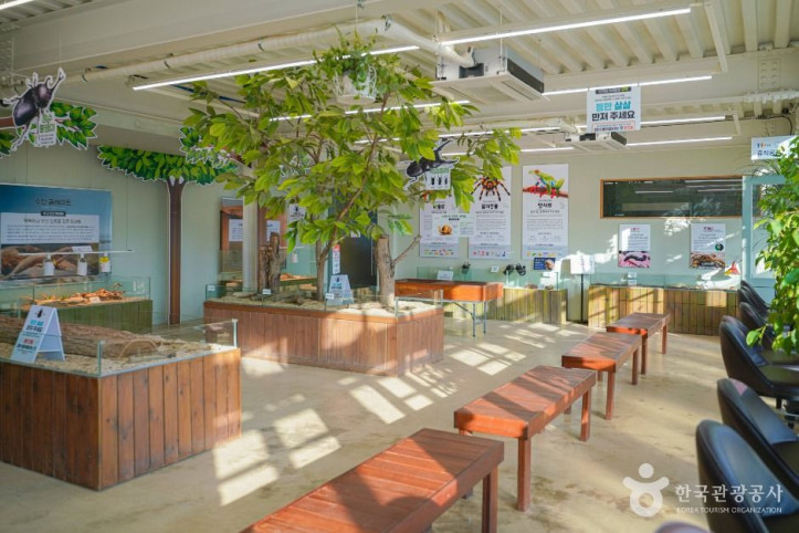 용인_곤충테마파크_7_공공1유형.jpg