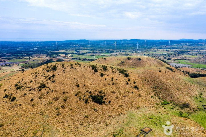 용눈이오름_1_공공1유형.jpg