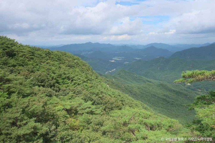 도명산_6_공공3유형.jpg