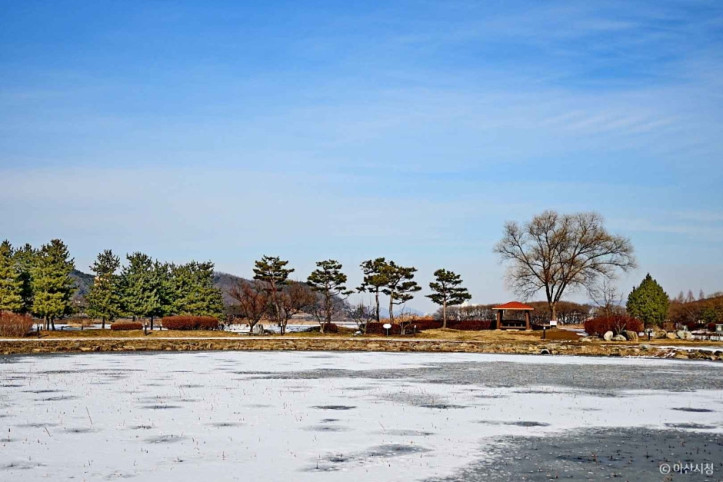 신정호관광지_3_공공3유형.jpg