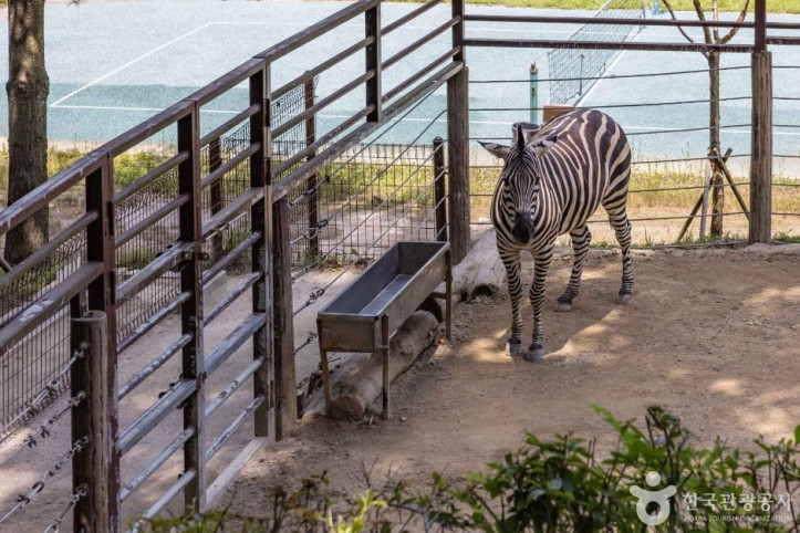 청주동물원_8_공공3유형.jpg