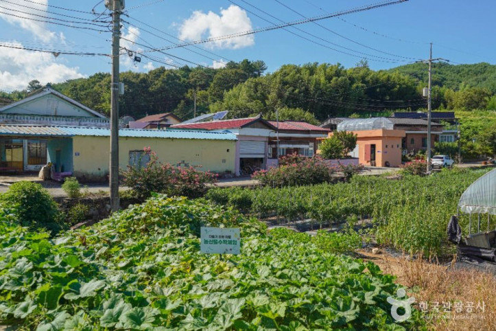 다슬기_초량마을_3_공공1유형.jpg