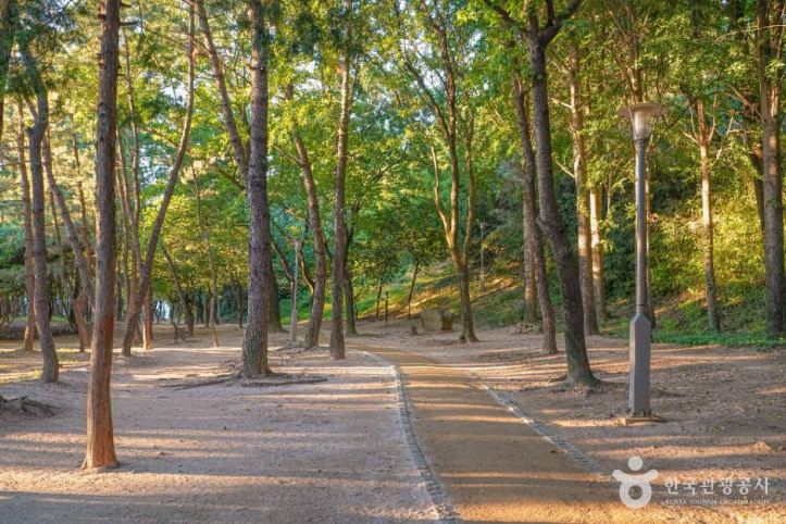 봉황대공원_5_공공1유형.jpg