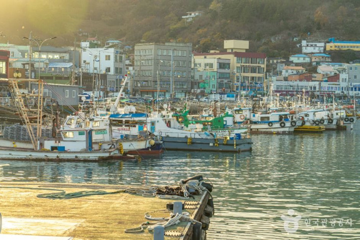완도항_6_공공1유형.jpg