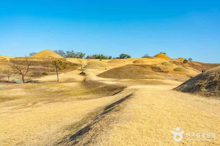 아라가야_고분군_4_공공1유형.jpg