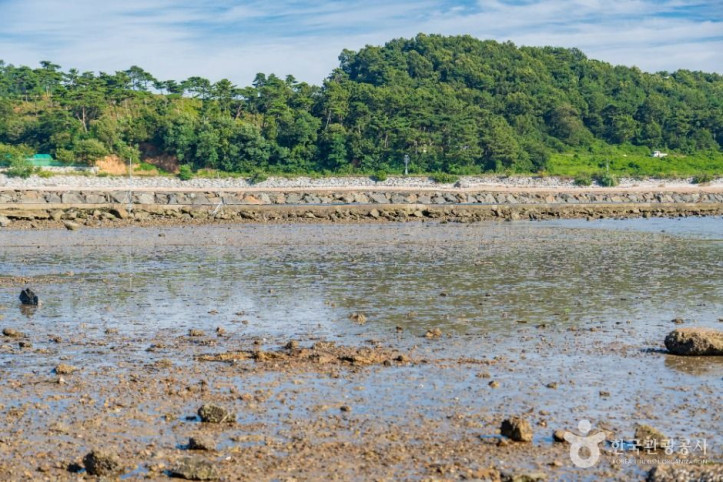 백미리갯벌체험장_5_공공1유형.jpg