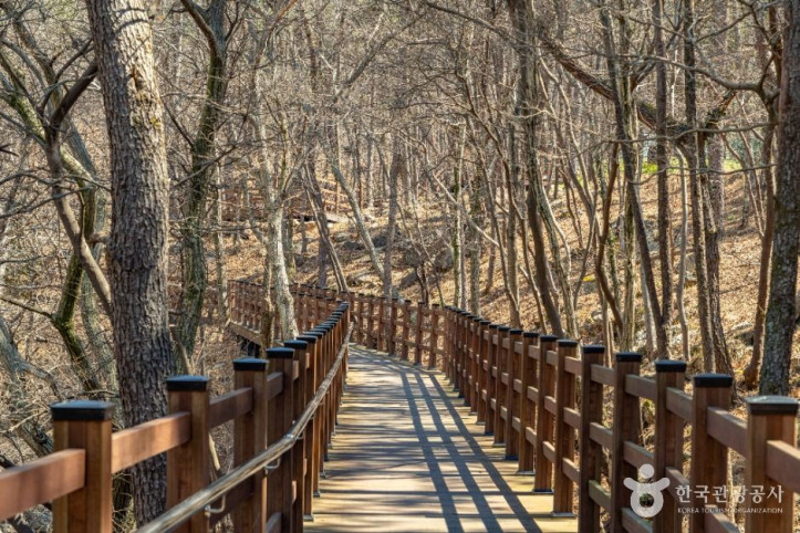 숲소리공원_2_공공1유형.jpg