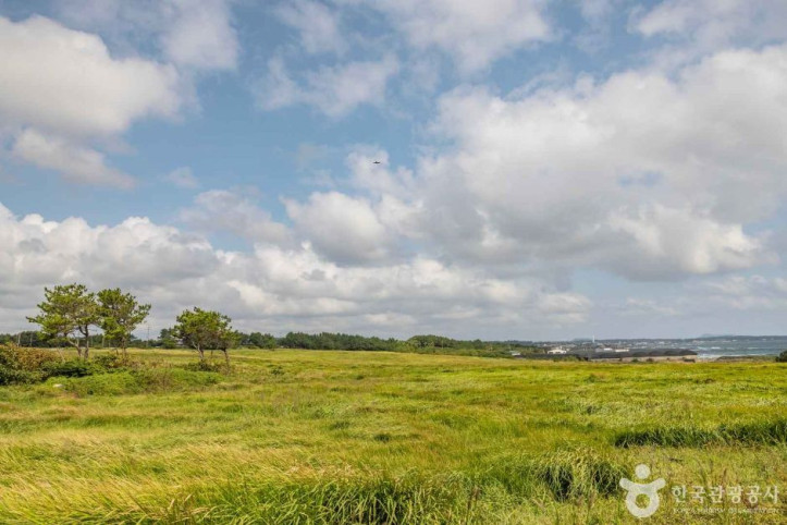 신풍_신천_바다목장_4_공공3유형.jpg