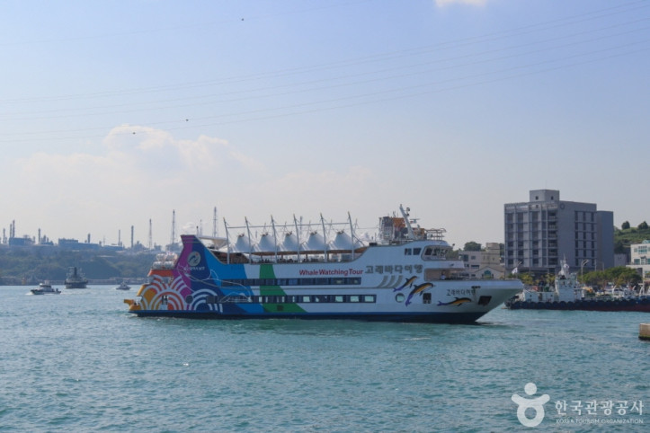 장생포_고래바다여행선_3_공공3유형.jpg