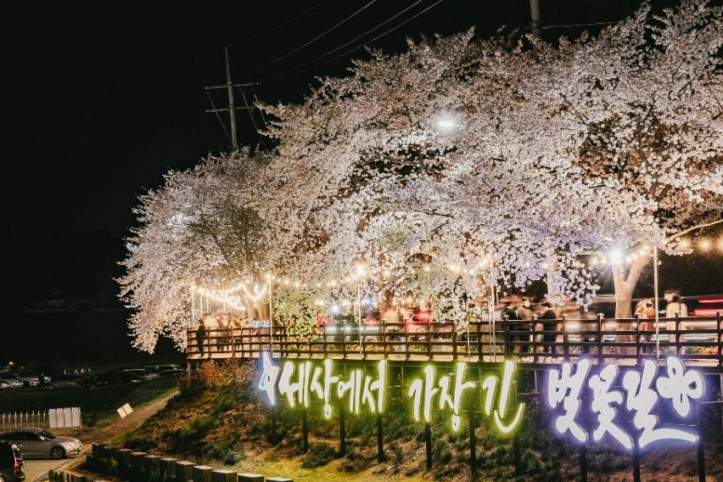 대청호_벚꽃길_4_공공3유형.jpg