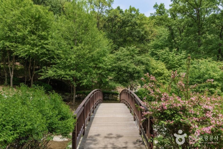 우면산자연생태공원_4_공공1유형.jpg
