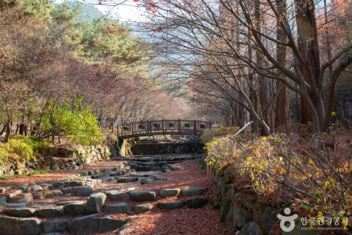 상소동 산림욕장 여행 추천 - 메고지고
