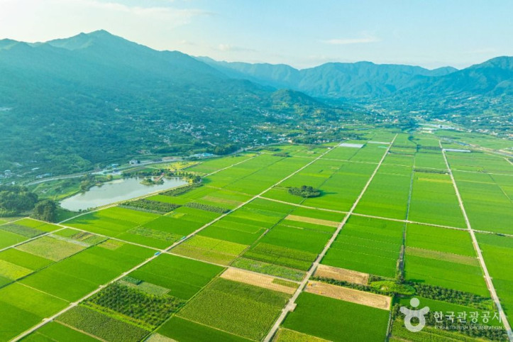 평사리들판_4_공공1유형.jpg
