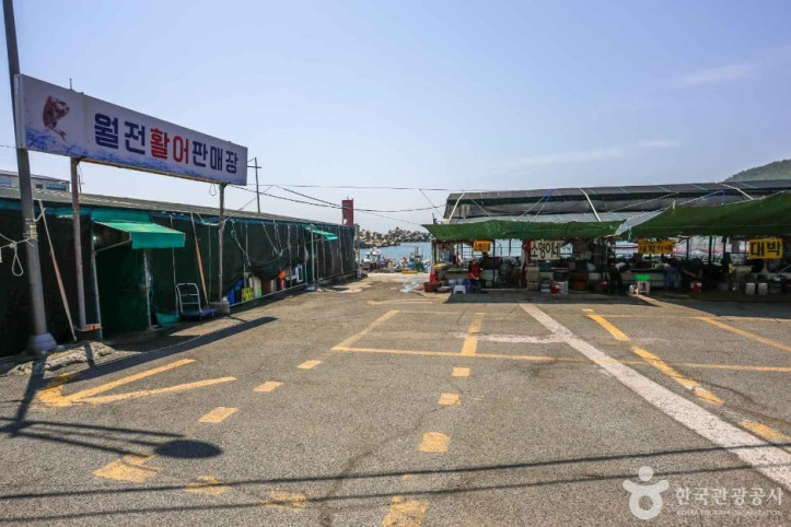 월전포구(월전방파제)_5_공공3유형.jpg