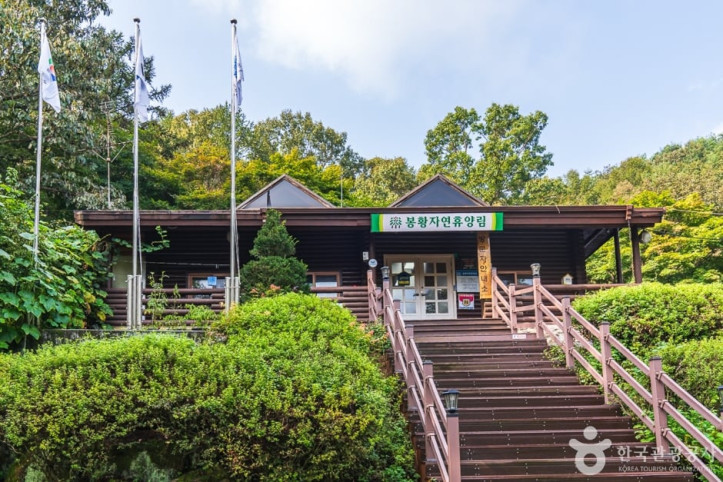 봉황자연휴양림_4_공공3유형.jpg