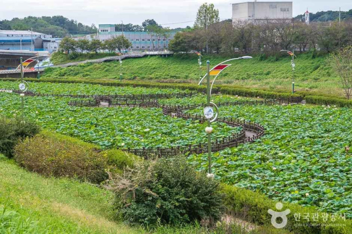 조천연꽃공원_4_공공3유형.jpg