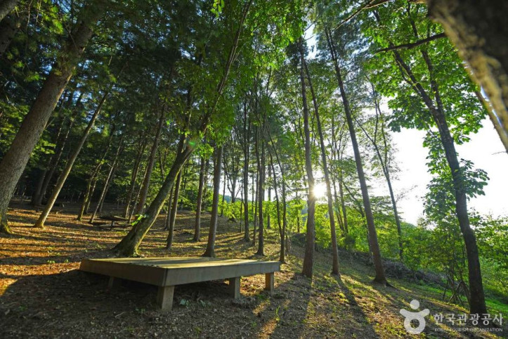 봉래산산림욕장_1_공공3유형.JPG