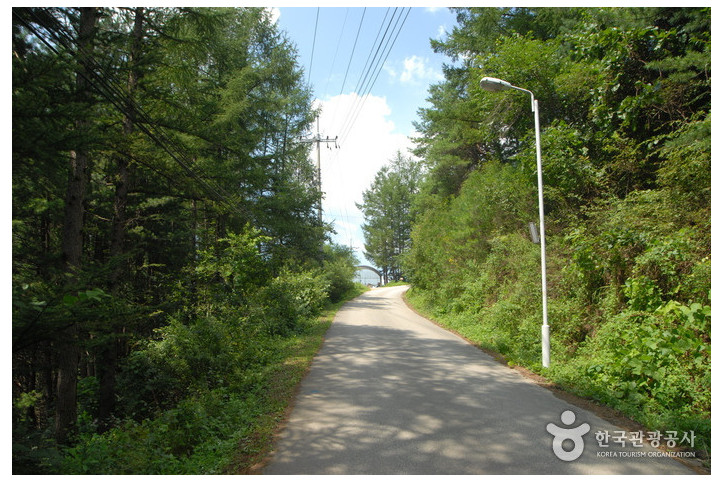 주천강자연휴양림_7_공공3유형.jpg